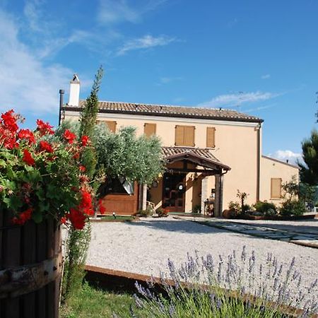 Gasthaus Briciola Di Sole Grottammare Exterior foto