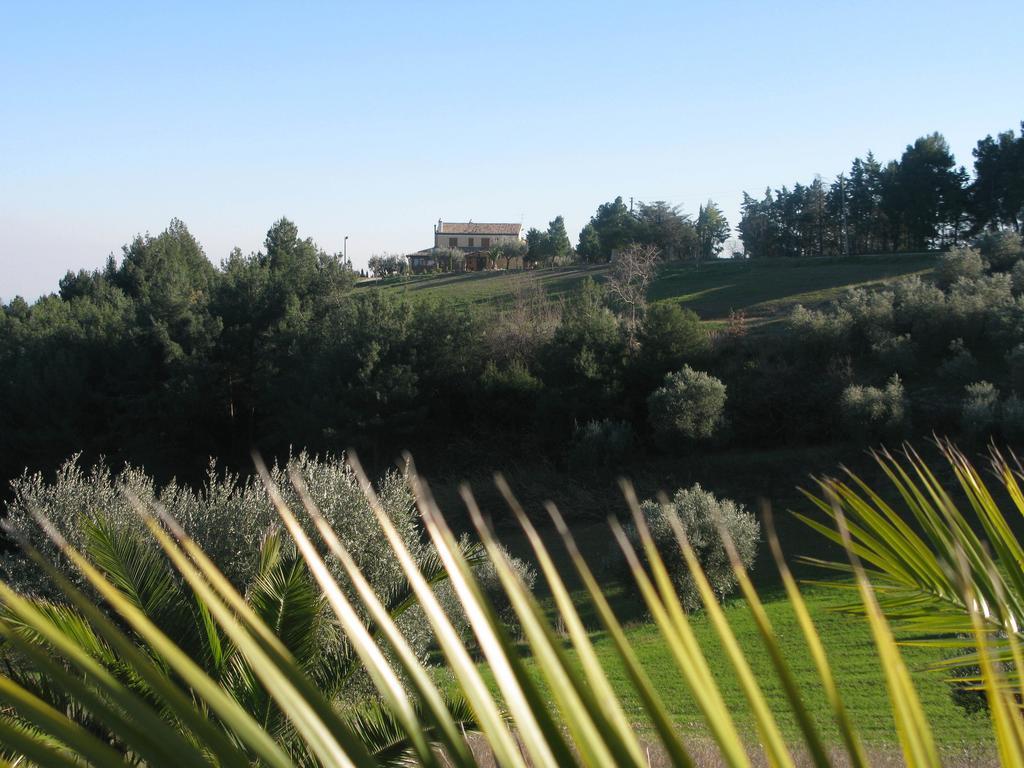 Gasthaus Briciola Di Sole Grottammare Exterior foto