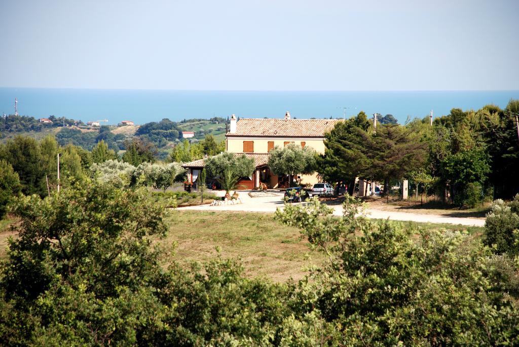 Gasthaus Briciola Di Sole Grottammare Exterior foto